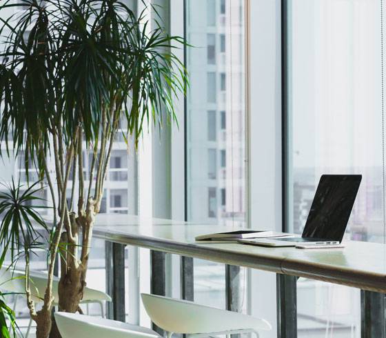 linkilaw-senior-executives